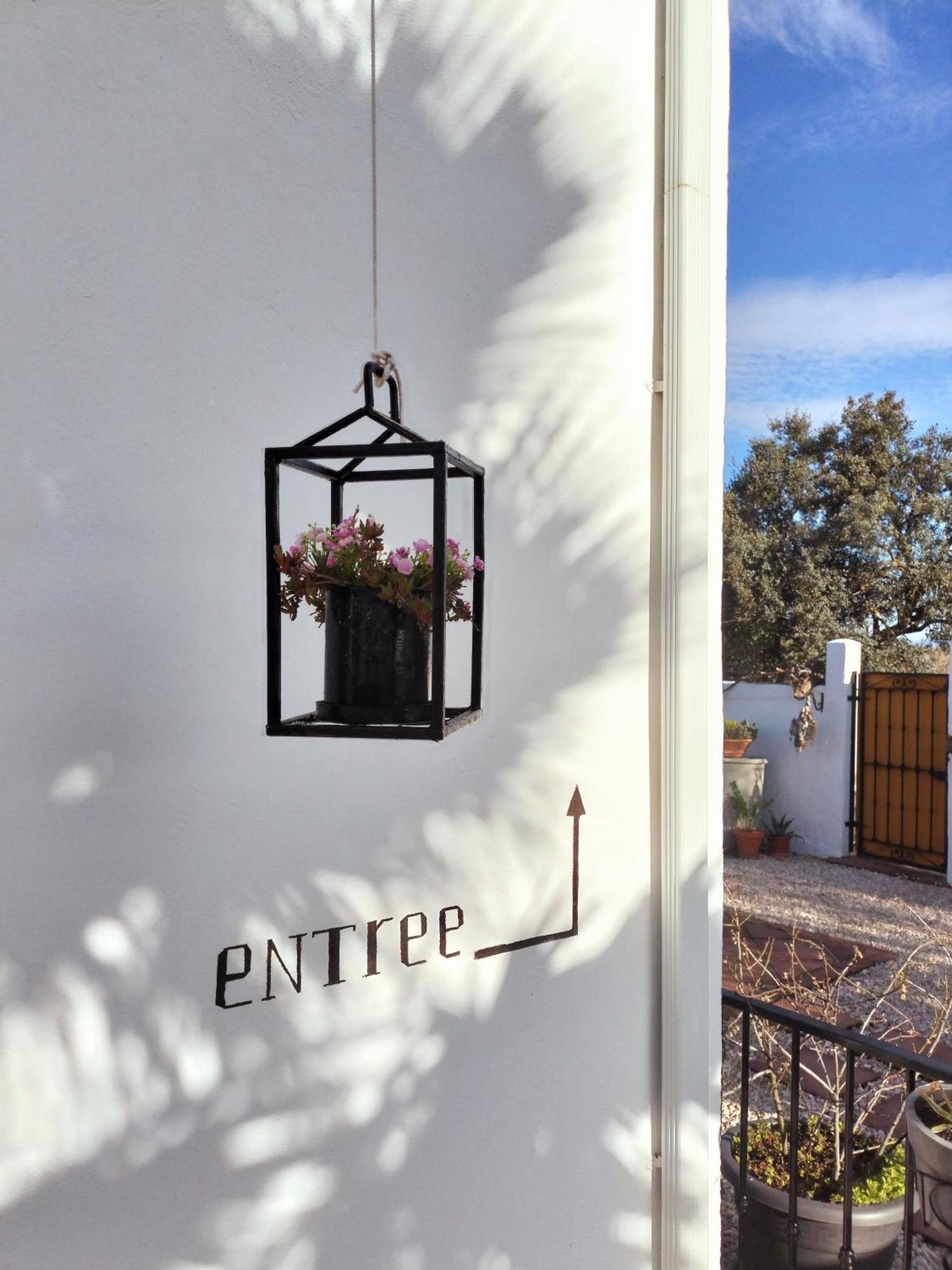 Todos Y Tonya Bed and Breakfast Archidona Exteriör bild