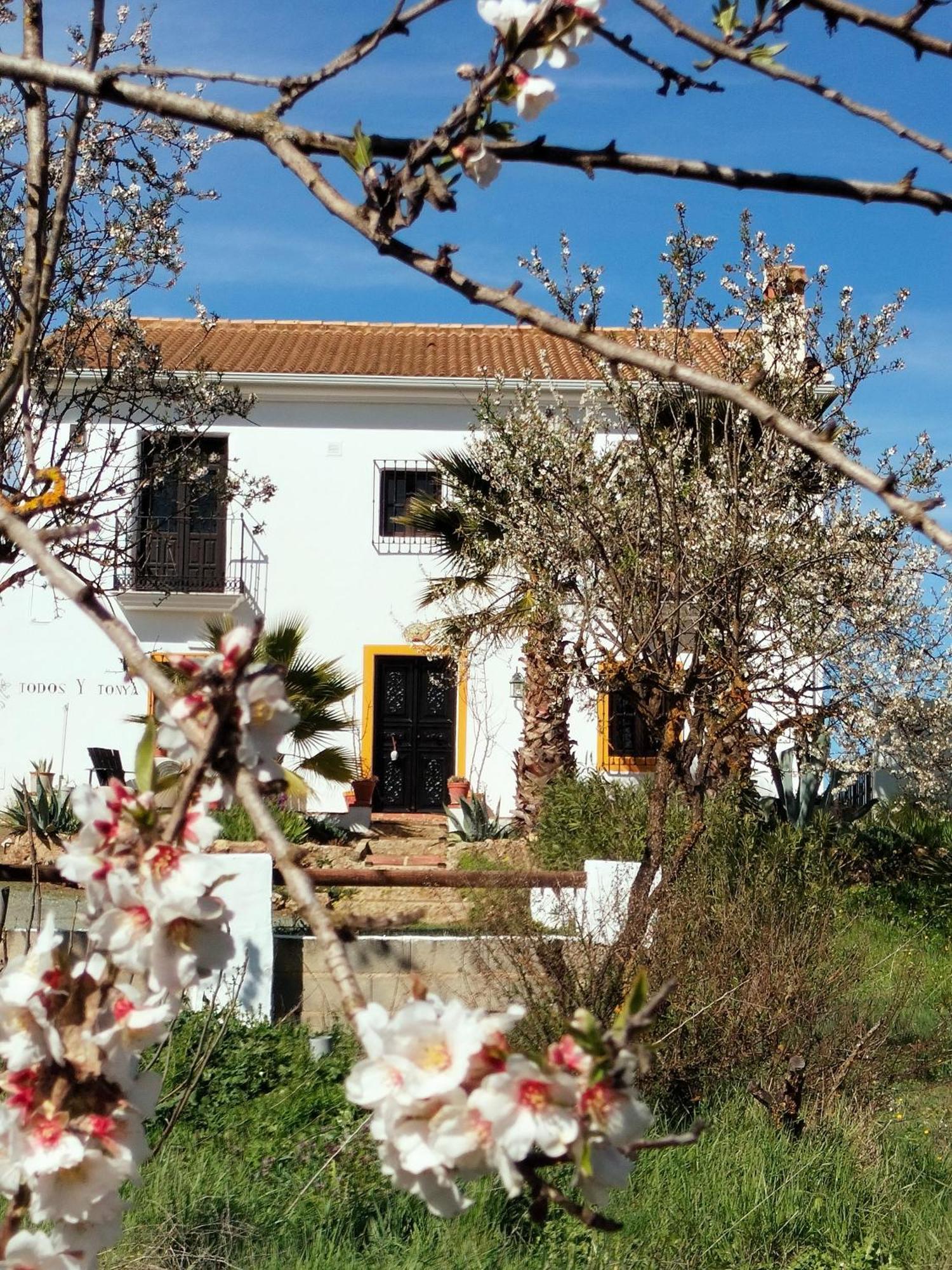 Todos Y Tonya Bed and Breakfast Archidona Exteriör bild