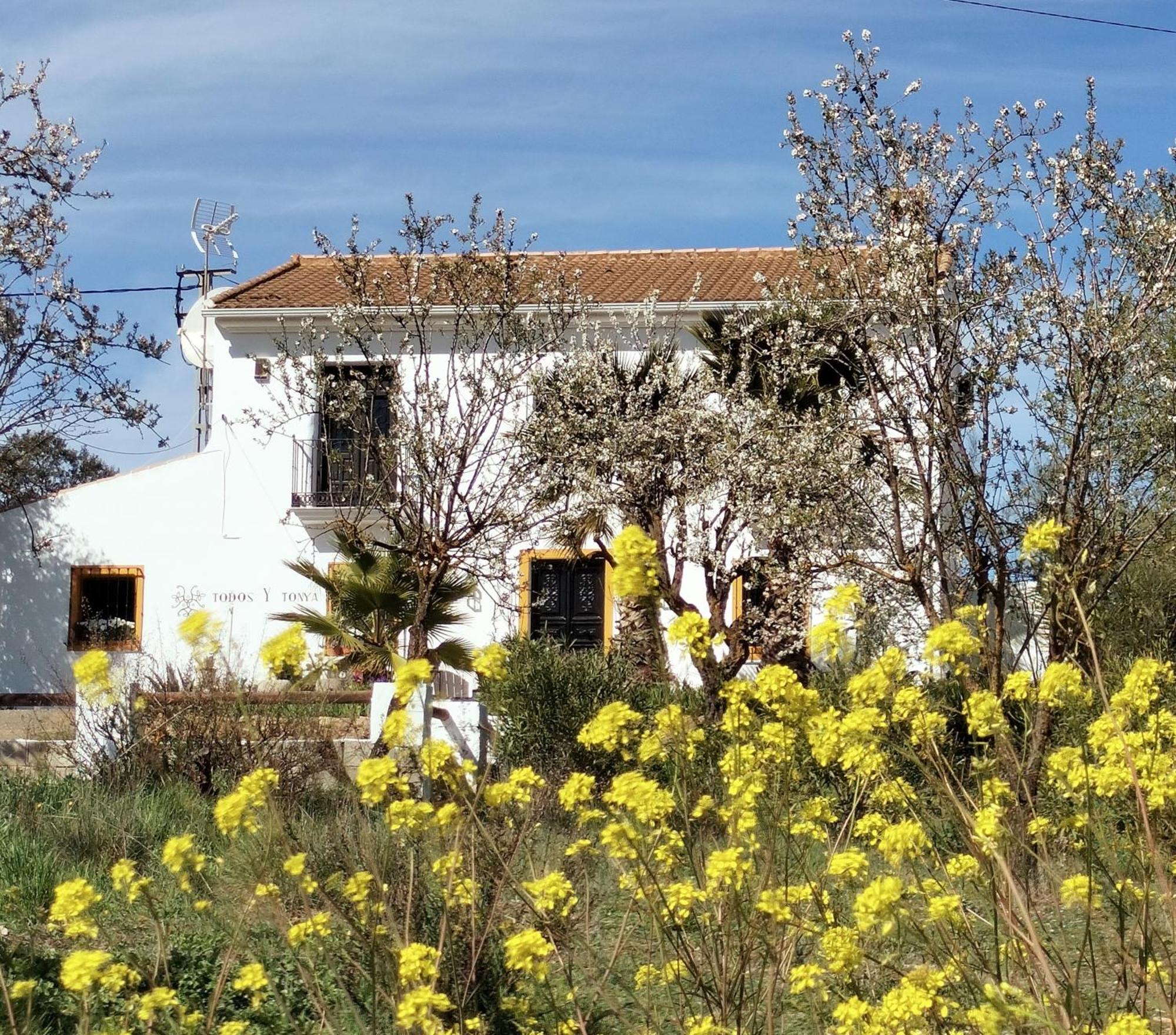 Todos Y Tonya Bed and Breakfast Archidona Exteriör bild