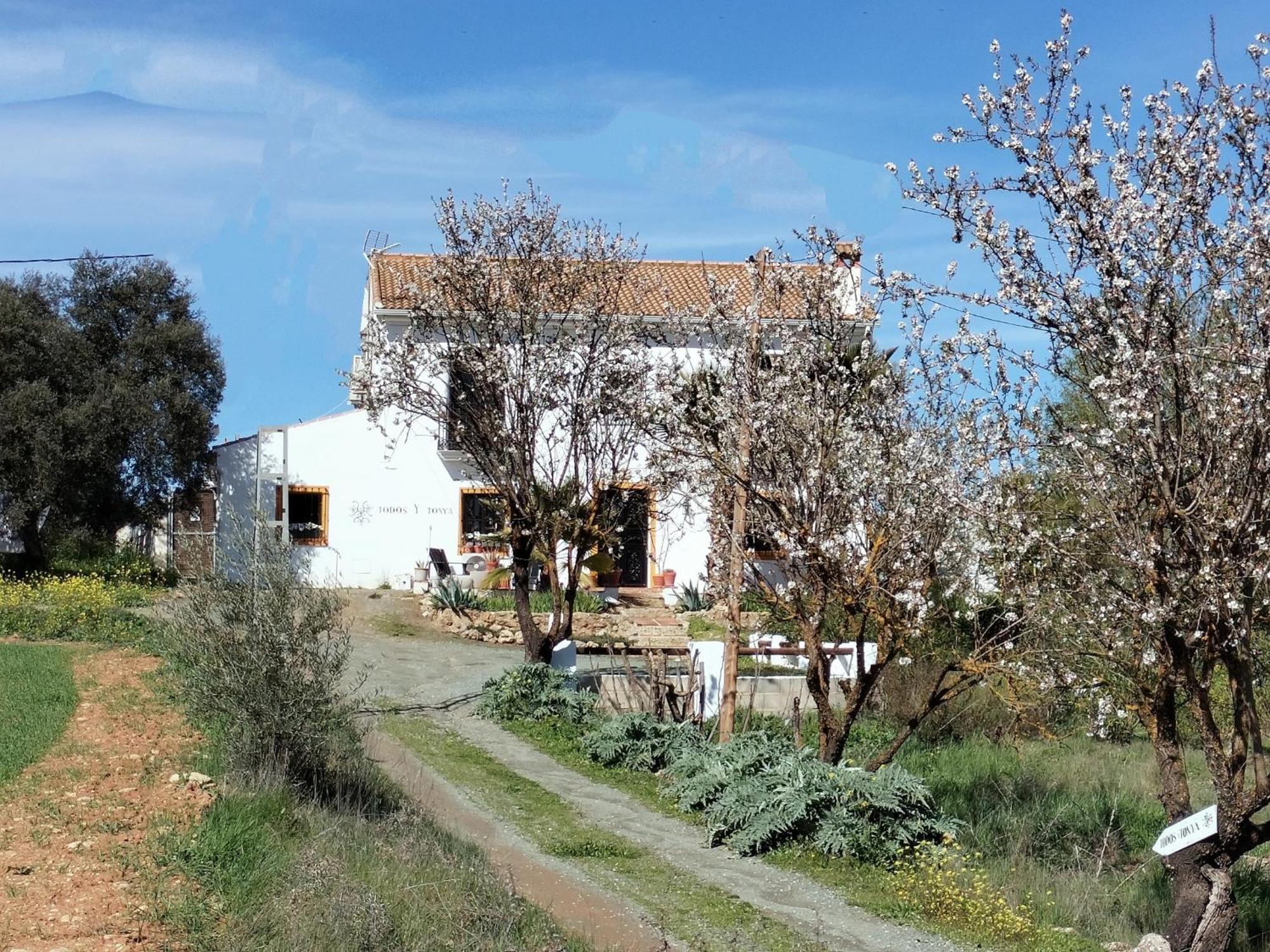 Todos Y Tonya Bed and Breakfast Archidona Exteriör bild