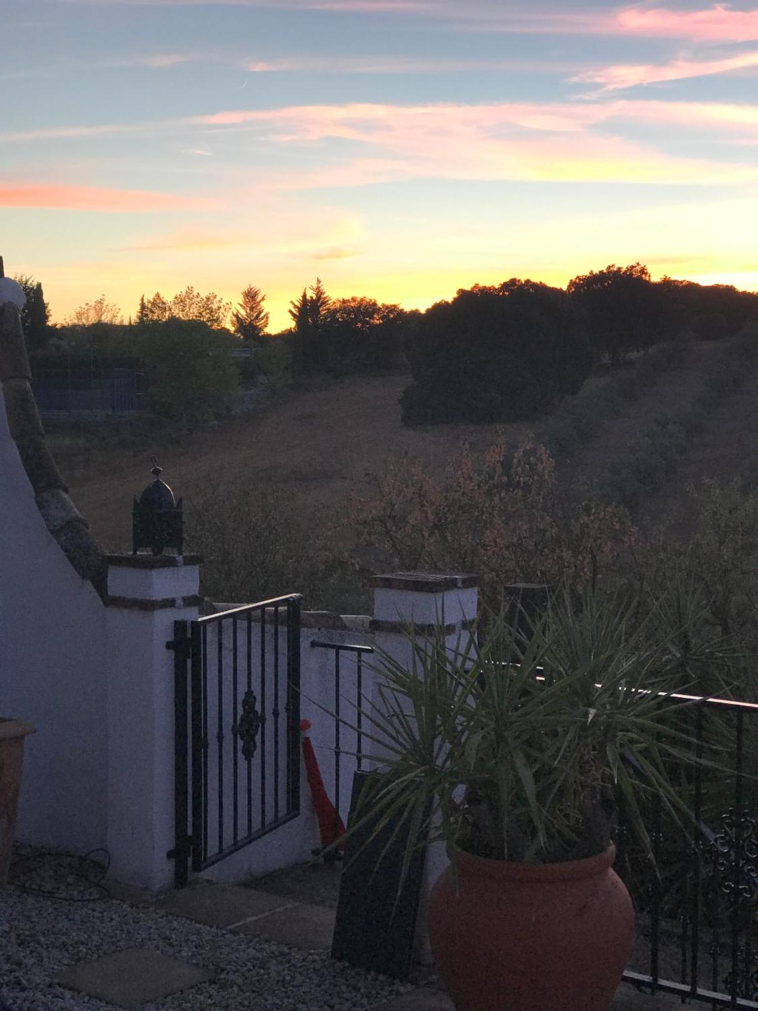 Todos Y Tonya Bed and Breakfast Archidona Exteriör bild